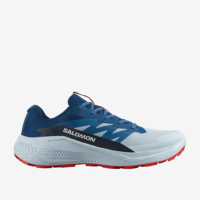 Salomon Alphaglide Erkek Koşu Ayakkabısı