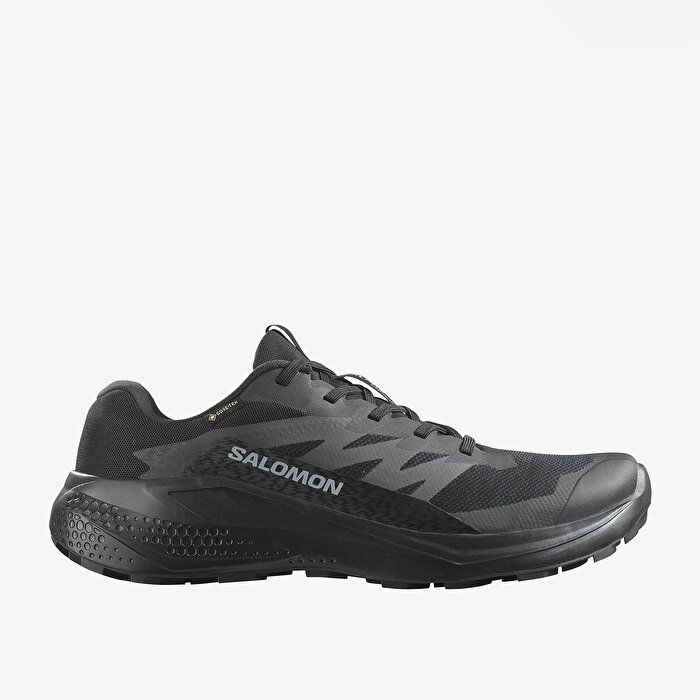 Salomon Alphaglide Goretex Erkek Siyah Koşu Ayakkabısı