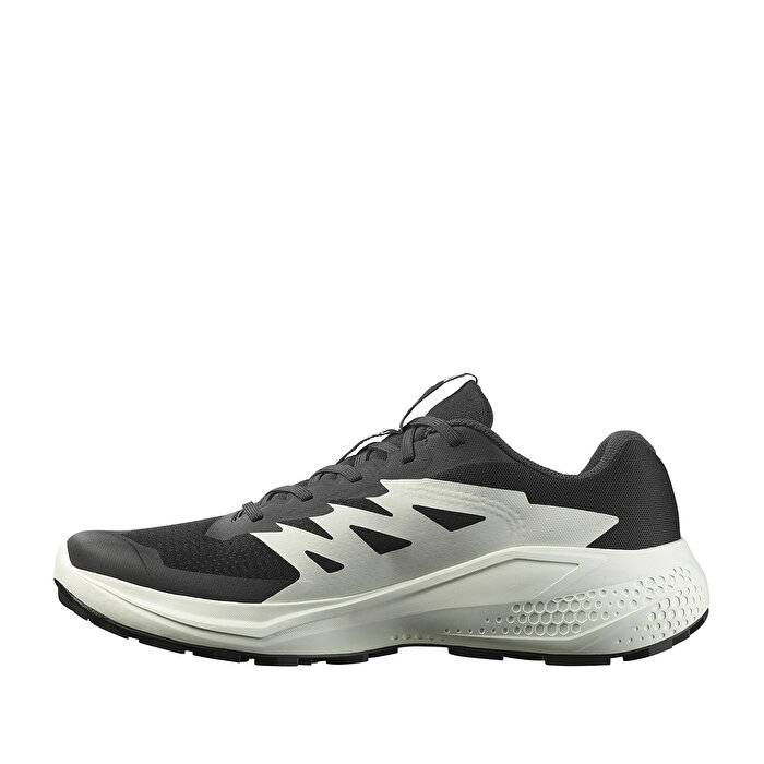 Salomon Alphaglide Erkek Siyah Koşu Ayakkabısı