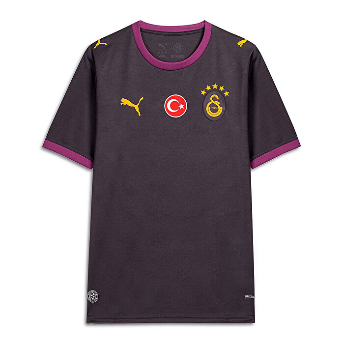 Puma Galatasaray Away Erkek Gri Forma