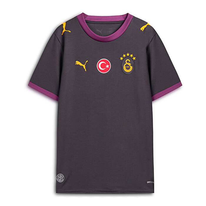 Puma Galatasaray 26/27 Çocuk Deplasman Gri Forma