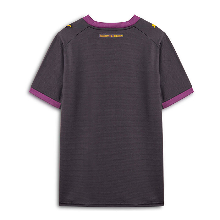 Puma Galatasaray 26/27 Çocuk Deplasman Gri Forma