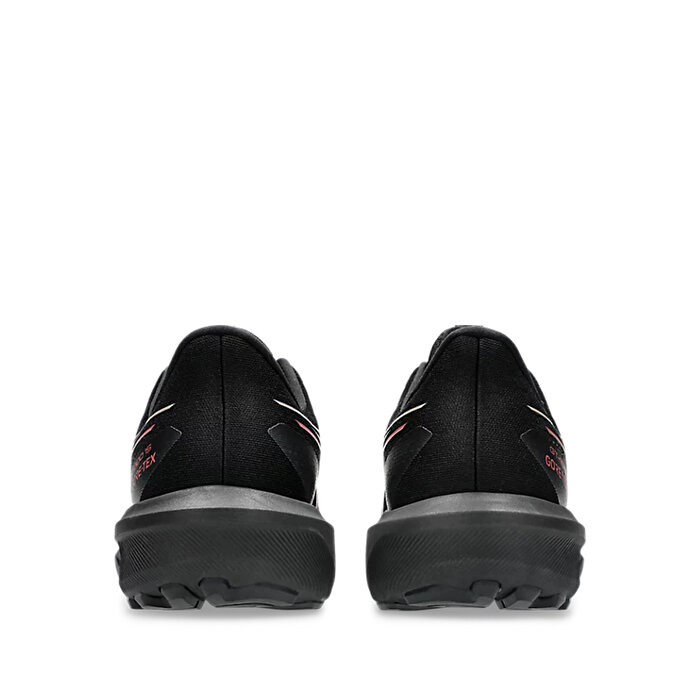 Asics GT-1000 15 Gore-Tex Erkek Siyah Koşu Ayakkabısı