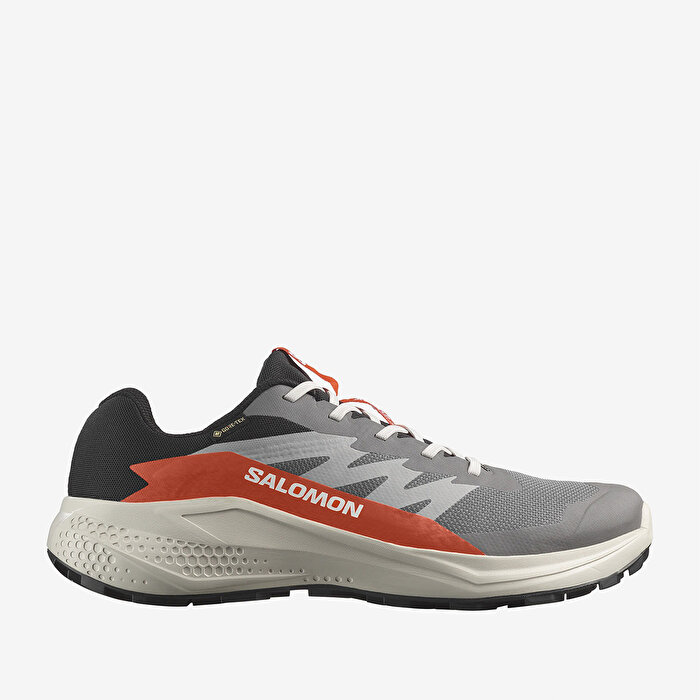 Salomon Alphaglide Goretex Erkek Gri Koşu Ayakkabısı