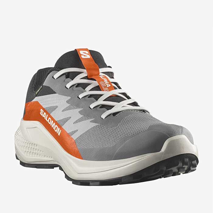 Salomon Alphaglide Goretex Erkek Gri Koşu Ayakkabısı