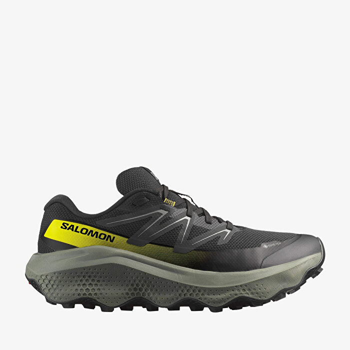 Salomon Ultra Flow 2 Goretex Erkek Koşu Ayakkabısı