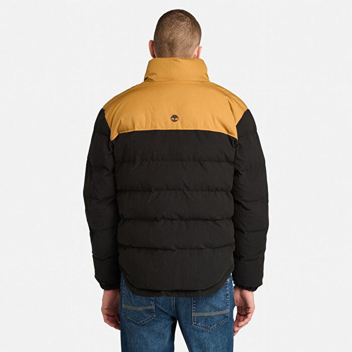 Timberland Welch Mountain Durable Water Repellent Erkek Siyah Dik Yaka Yelek