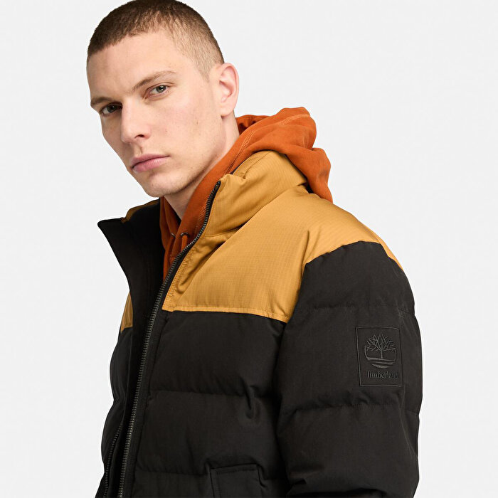 Timberland Welch Mountain Durable Water Repellent Erkek Siyah Dik Yaka Yelek