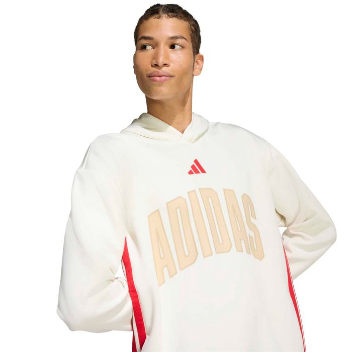 adidas Stadium Seas Graphic Erkek Beyaz Kapüşonlu Sweatshirt