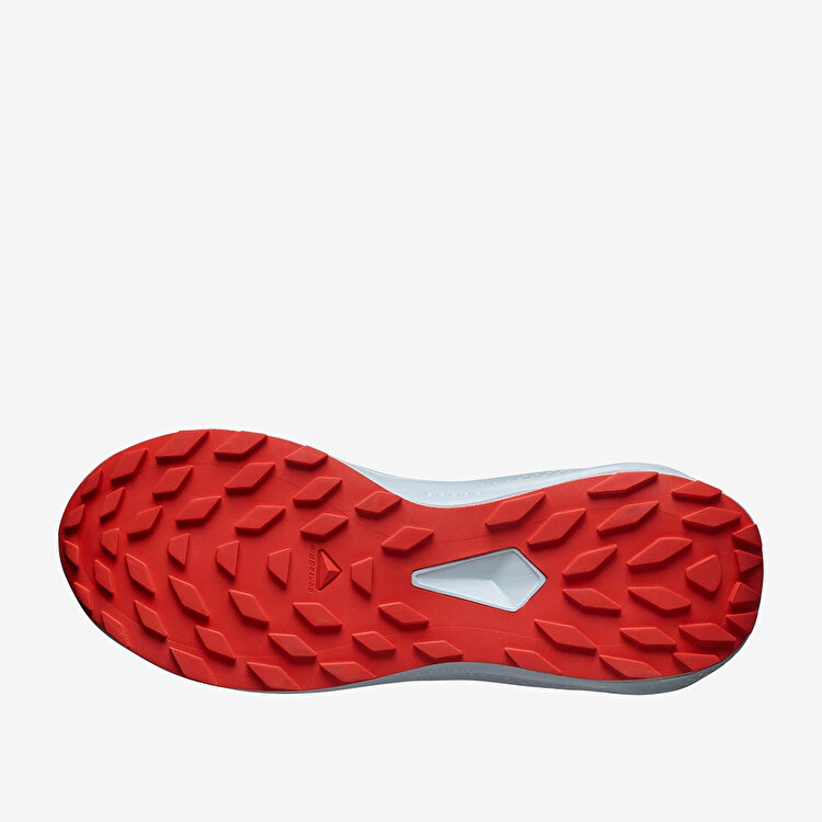 Salomon Alphaglide Erkek Koşu Ayakkabısı