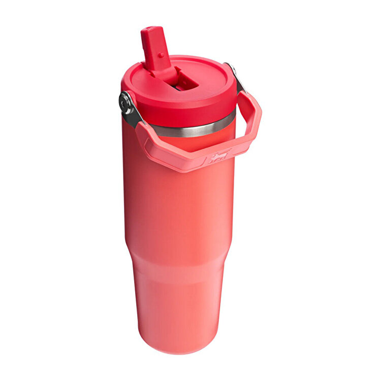 Stanley The IceFlow Flip Straw Pembe Pipetli Termos Bardak 0,89 LT