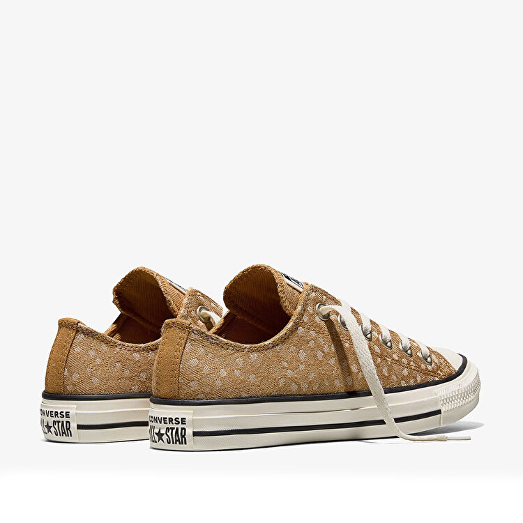 Converse Chuck Taylor All Star Kadın Kahverengi Sneaker