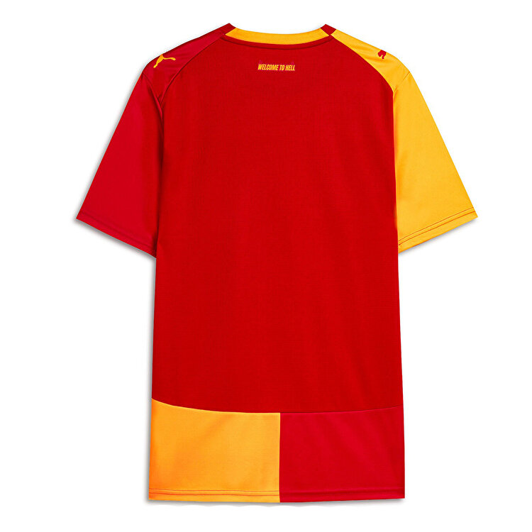 Puma Galatasaray 26/27 Erkek İç Saha Parçalı Forma
