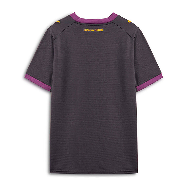 Puma Galatasaray 26/27 Çocuk Deplasman Gri Forma