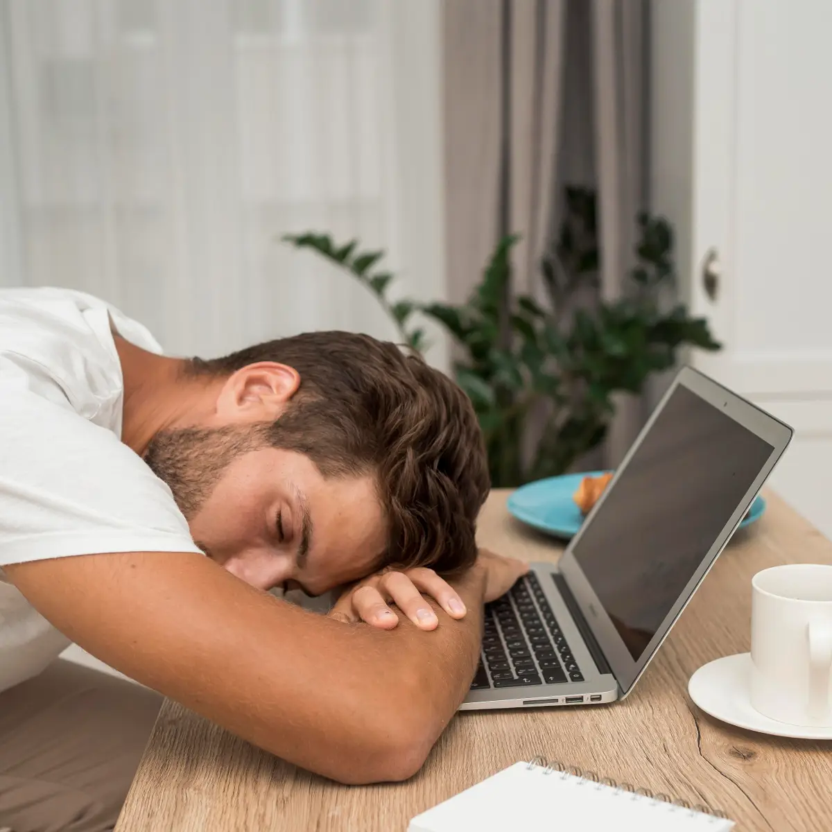 Sedanter Yaşam Nedir?