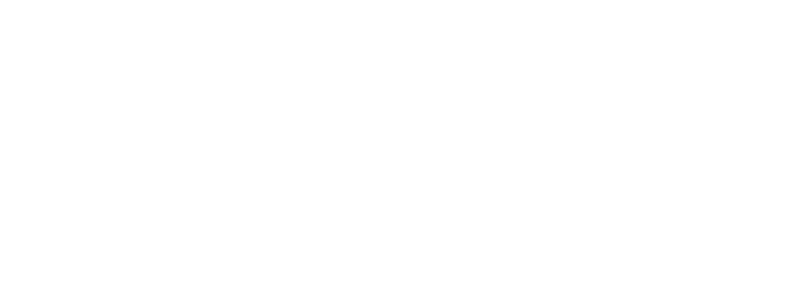 Efsane Kasım Kampanyası Ceket Mont