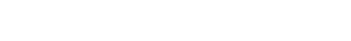 Salomon Logo