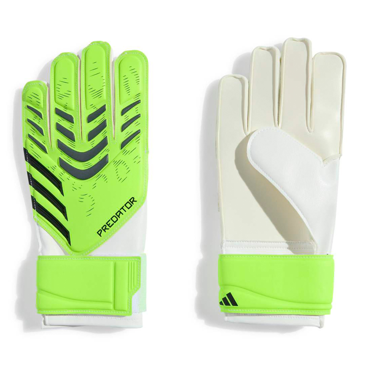 adidas Predator Gl Training Yeşil Kaleci Eldiveni JN5362 - Sporthink